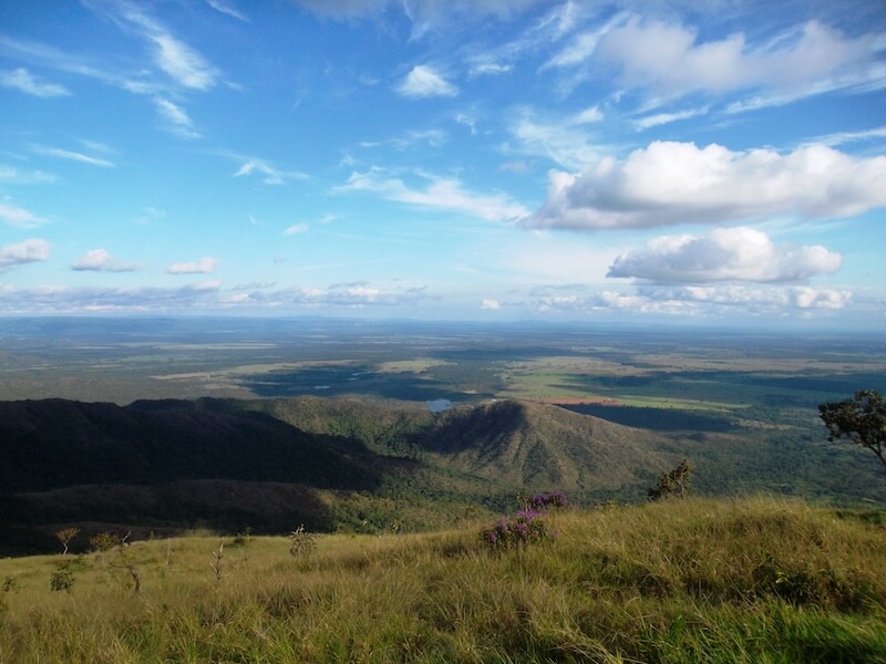 Mato Grosso